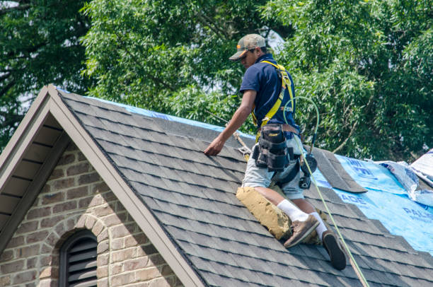 Quick and Trustworthy Emergency Roof Repair Services in Forest Park, IL